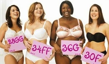 how big is 36c breast size